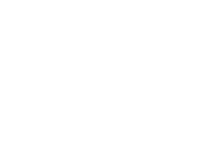 Logotipo FisioSpark
